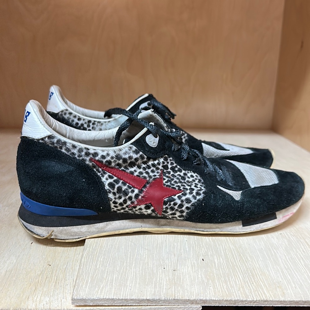 Golden goose running